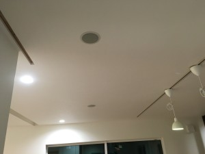 IMG_5307