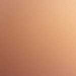 契約してきました